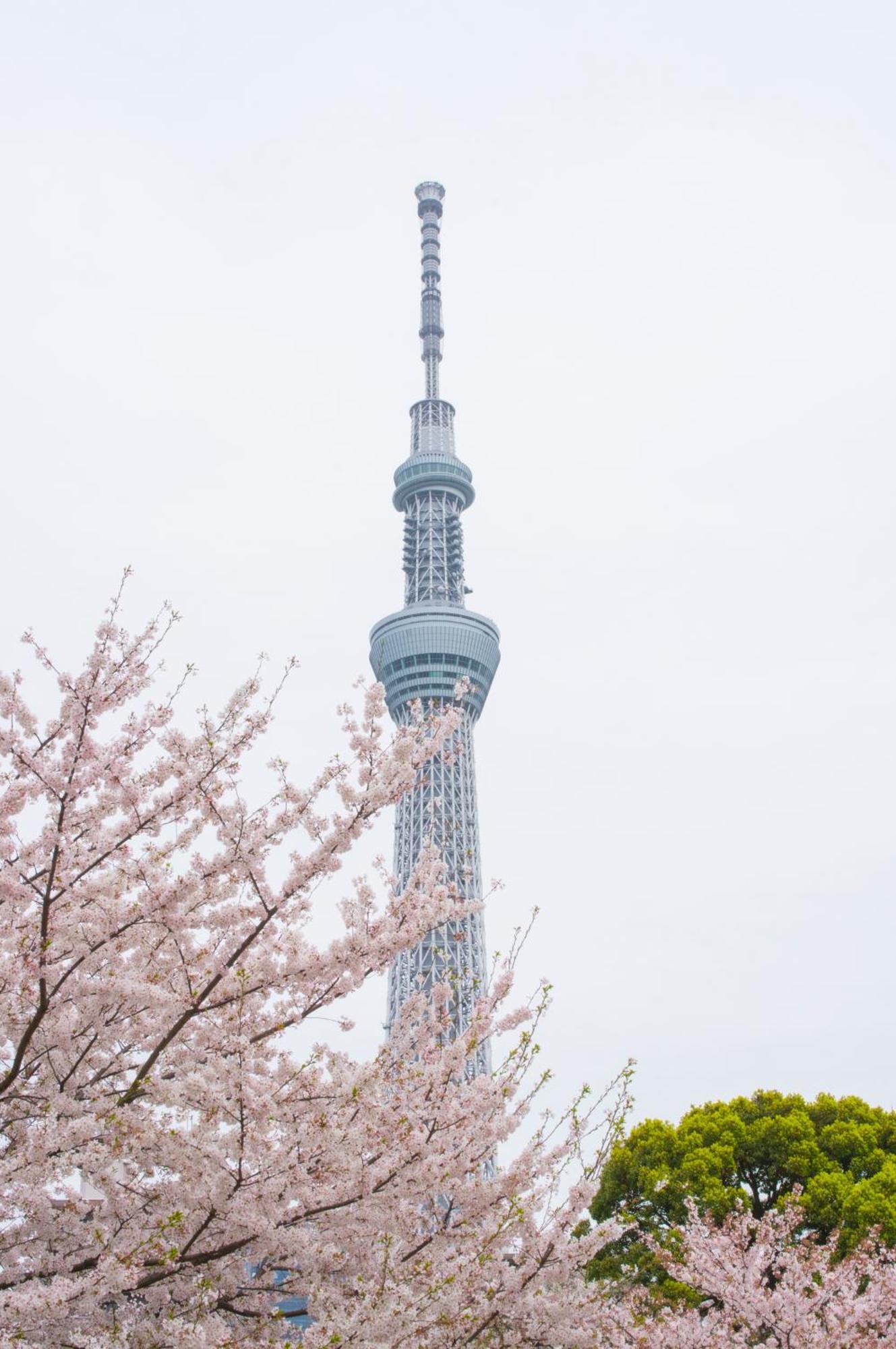 Hotel Varkin Annex Tokyo Luaran gambar